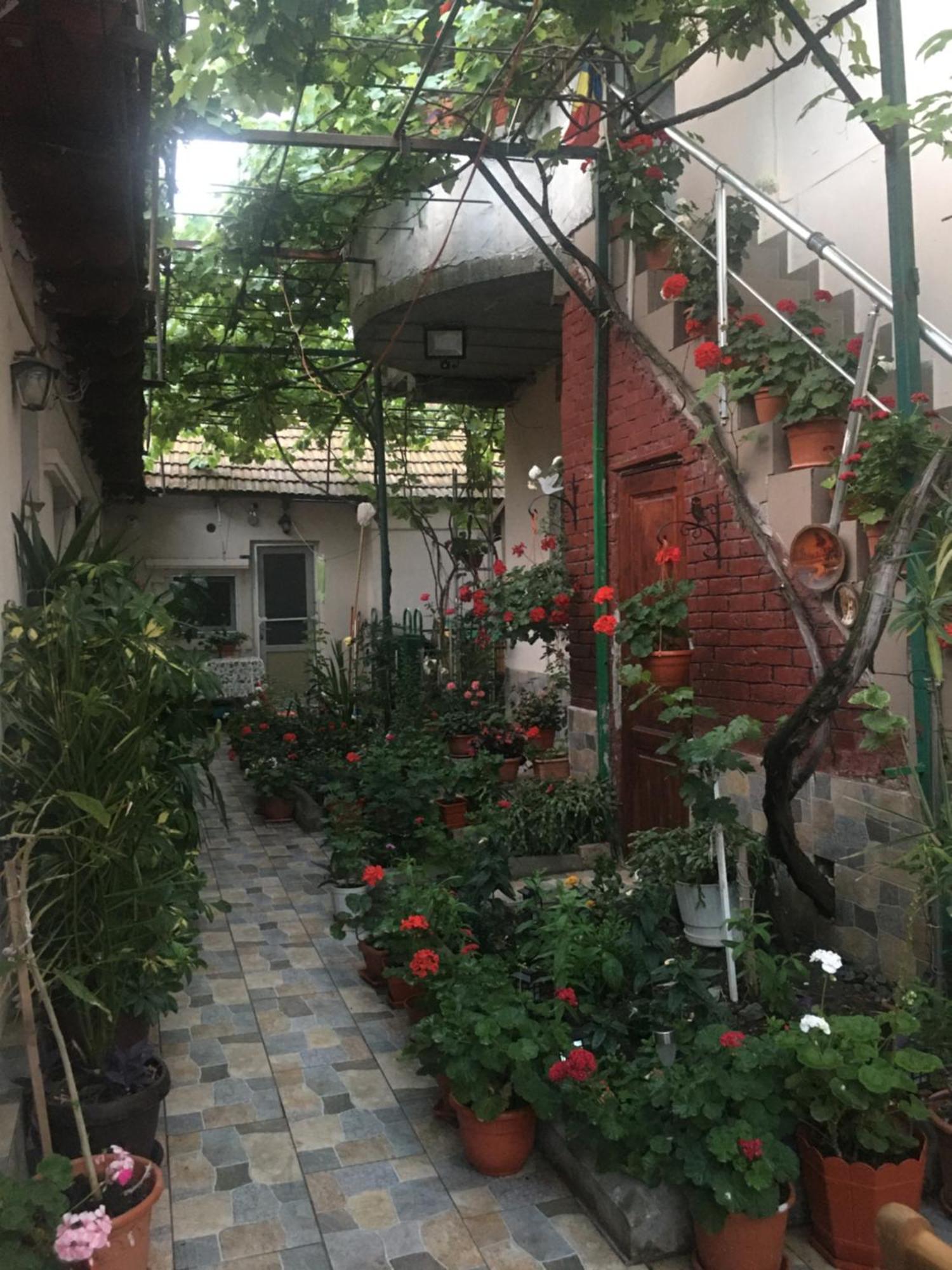 Cazare La Mare Vila كونستانتا المظهر الخارجي الصورة