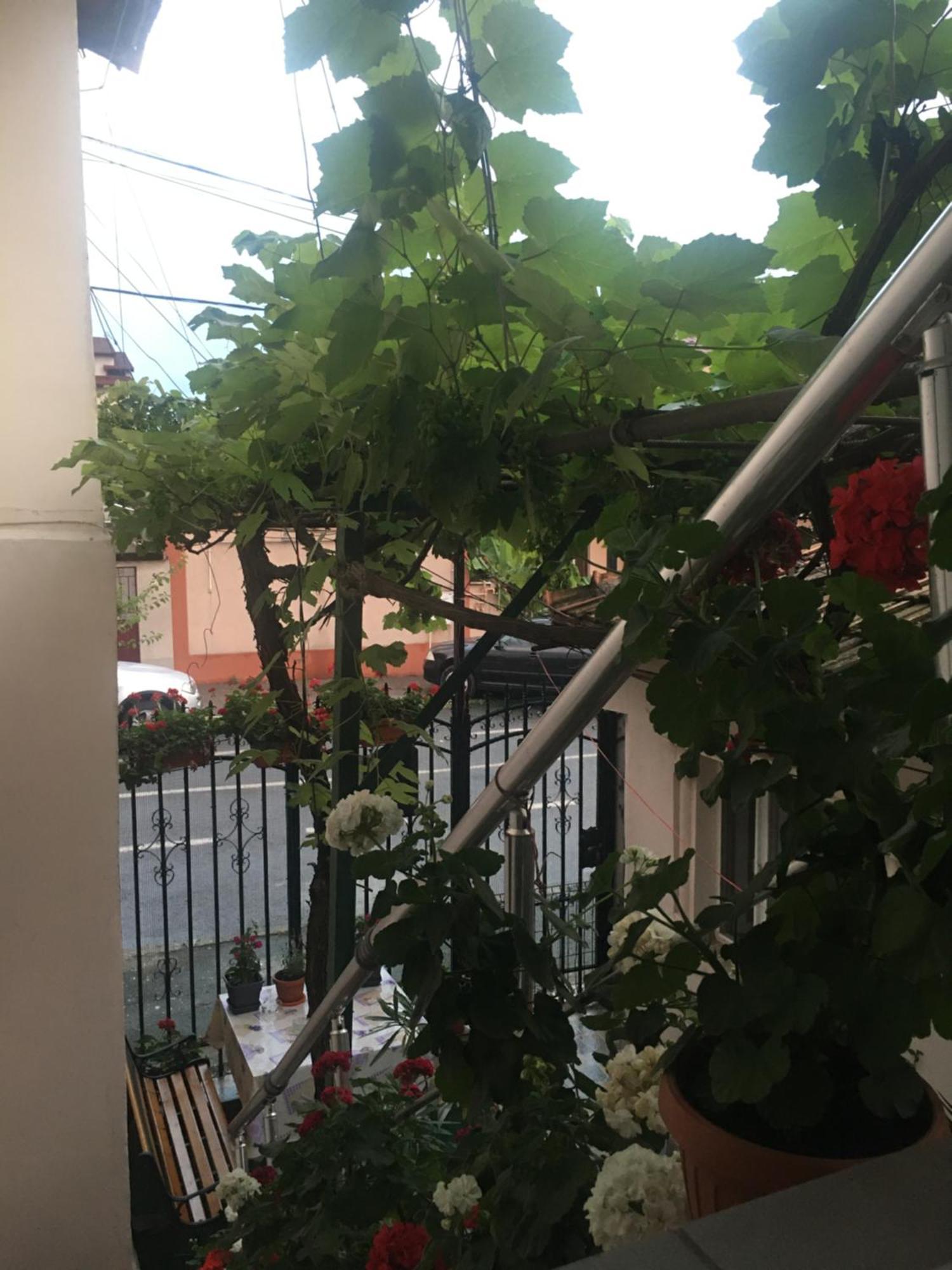 Cazare La Mare Vila كونستانتا المظهر الخارجي الصورة